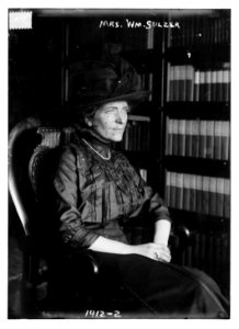 Mrs. William Sulzer LCCN2014687821