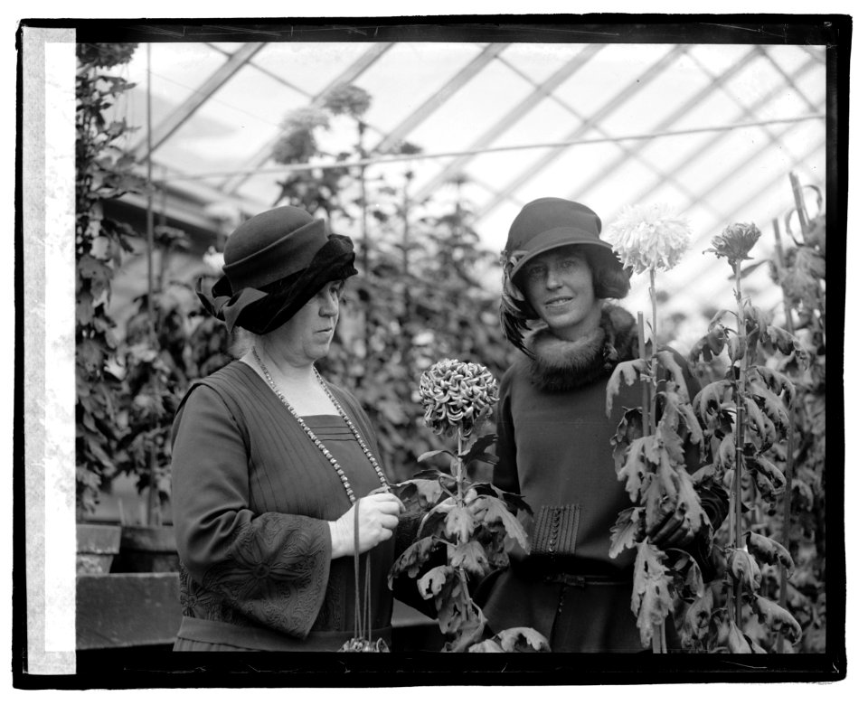 Mrs. Wallace & Mary Wallace, (11-2-22) LOC npcc.07273