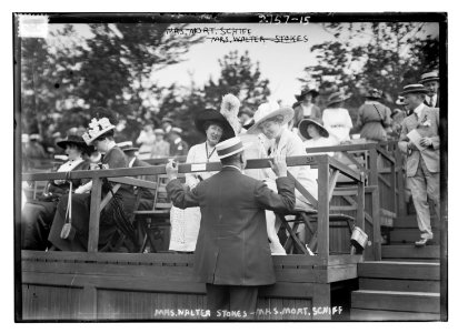 Mrs. Walter Stokes, Mrs. Mort. Schiff LCCN2014693563