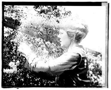 Mrs. Warren G. Harding LCCN2016828167