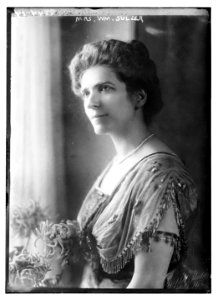 Mrs. Wm. Sulzer LCCN2014694388