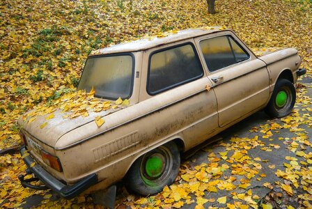 Autumn nostalgia yellow