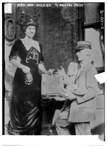 Mrs. Wm. Sulzer & parcel post LCCN2014691323