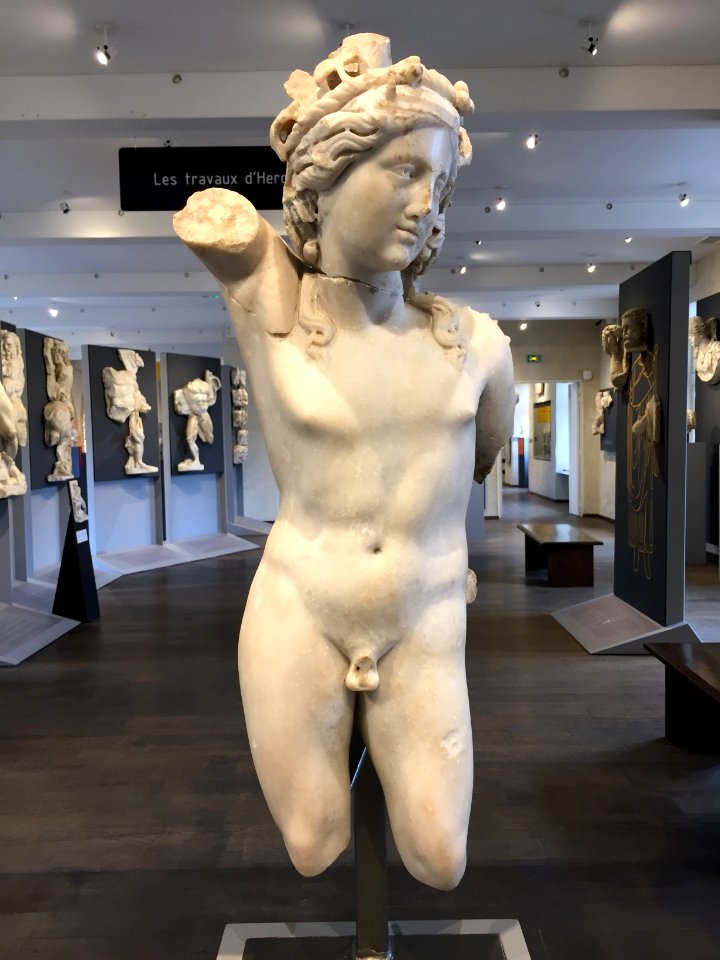 MSR Bacchus Ra 134-137 2