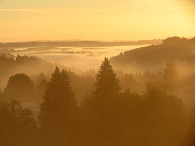 Nature fog sunrise
