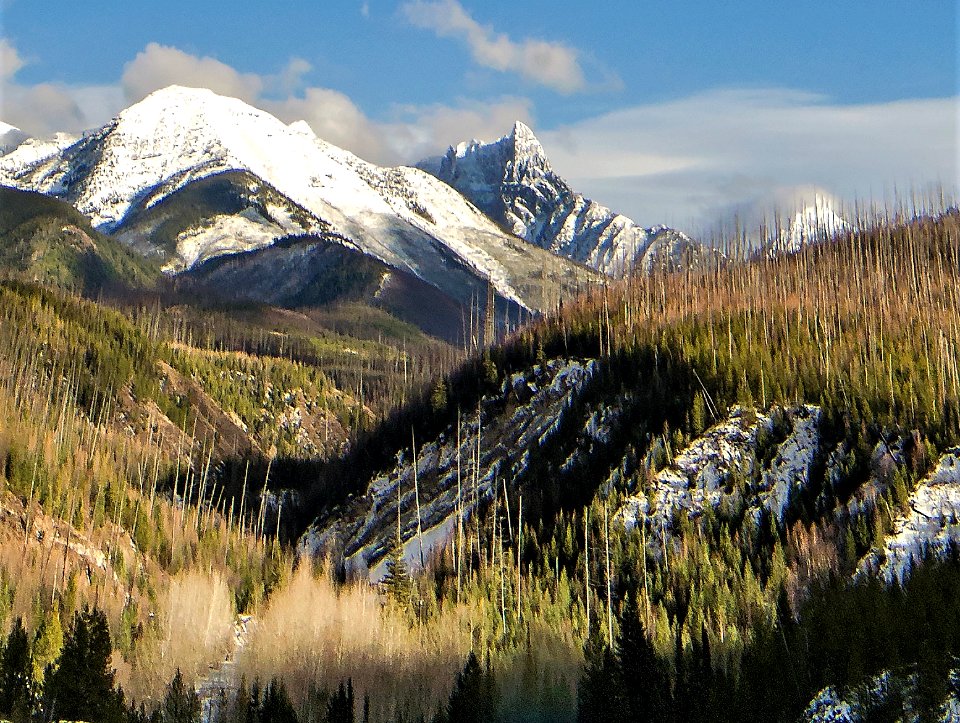 Mt. Doody
