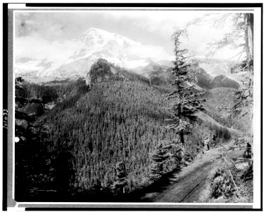 Mt. Rainier from Rickseekers Point with man and woman standing looking over the forest, Mt. Rainer National Park, Washington) - Curtis & Miller, Seattle LCCN90709569