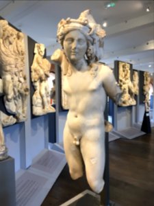 MSR Bacchus Ra 134-137 3