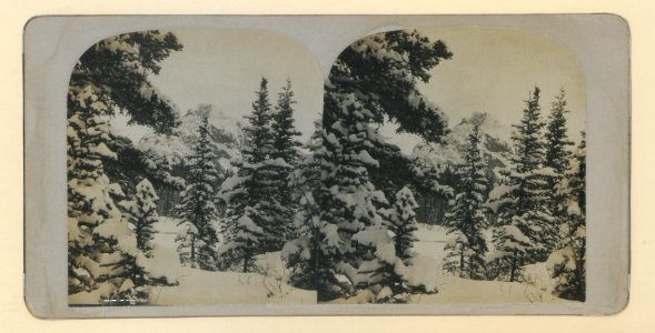 Mt Rundle, Banff (HS85-10-19333) original