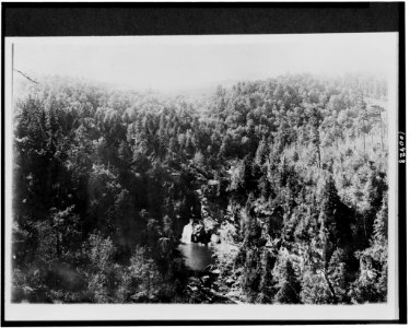 Mt. Mitchell Reservation, N.C. Bynums Bluff LCCN90715627