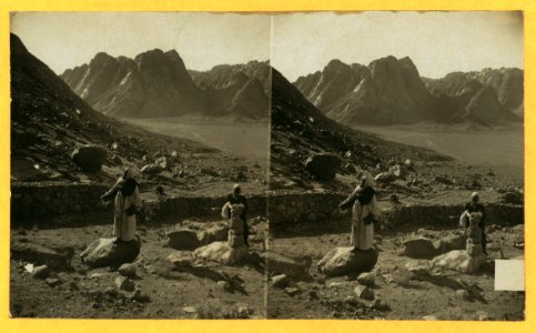 Mt. of the Law and Plain of Assemblage - Mt. Sinai LCCN2004672948