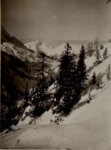 Mte.Pizul, C.Alta, Mte.Zermula, Lanzenpass, aus der Trogstellung ca.200 m tiefer. (BildID 15483511)