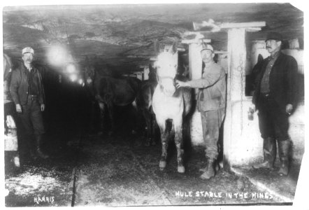 Mule stable in the mines LCCN2016647682