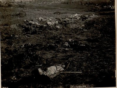 Mulde östlich Monte Rasta. Reste unbestatteter Italiener aus den Juni-Kämpfen. (BildID 15635832)