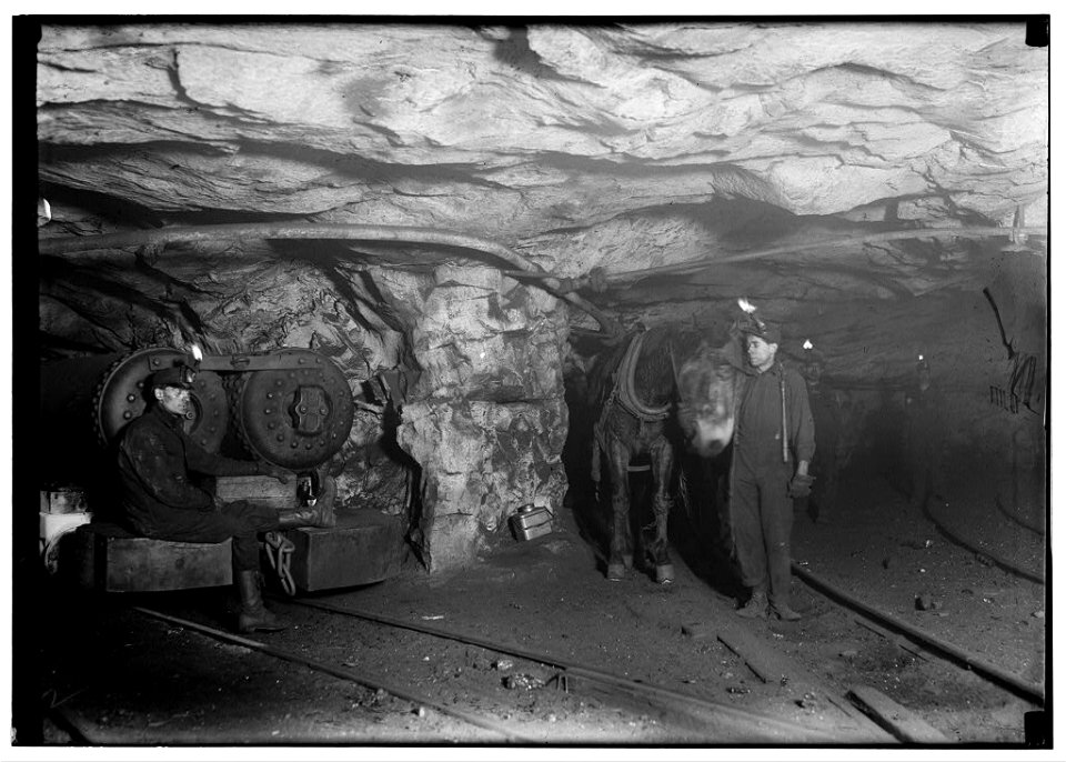 Mule power and motor power. A Young Driver, Shaft -6, Pennsylvania Coal Company. LOC nclc.05469