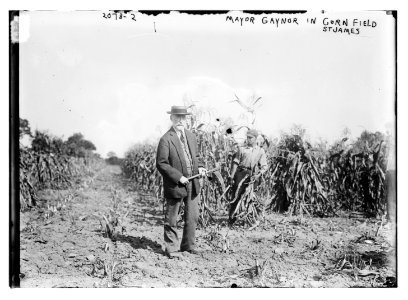 Mayor Gaynor in cornfield St. James LCCN2014688517