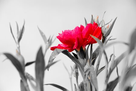 Life beauty positive