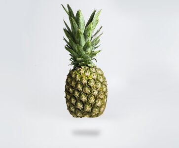Fruit green mature