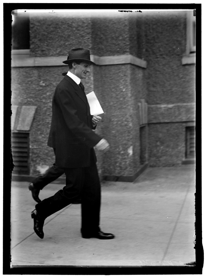 McADOO, WILLIAM GIBBS. SECRETARY OF THE TREASURY, 1913-1921 LCCN2016864446