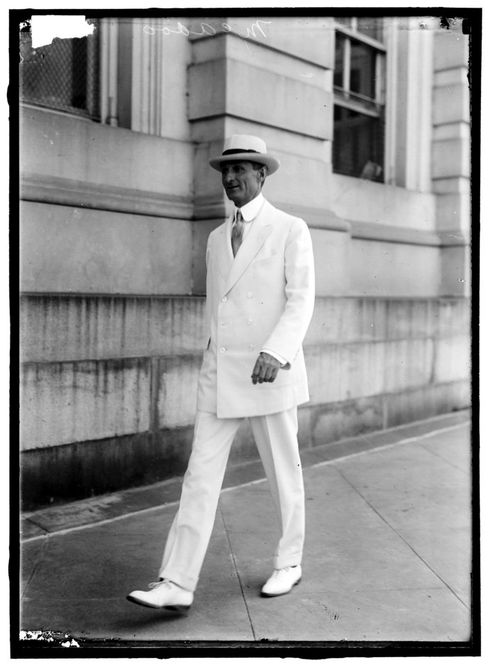 McADOO, WILLIAM GIBBS. SECRETARY OF THE TREASURY, 1913-1921 LCCN2016865687