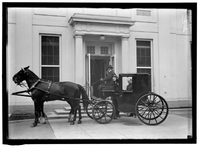 McADOO, WILLIAM GIBBS. SECRETARY OF THE TREASURY, 1913-1921. HIS CARRIAGE LCCN2016864977