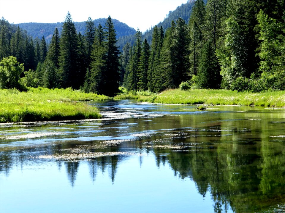 Body of water river nature photo