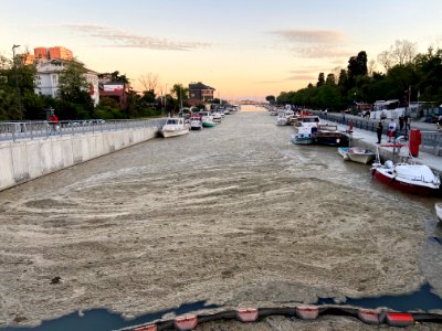 Mucilage in the Marmara (5)