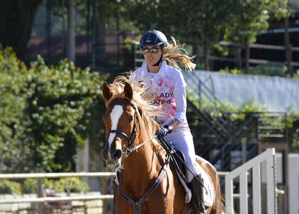 Equestrian jumping jump