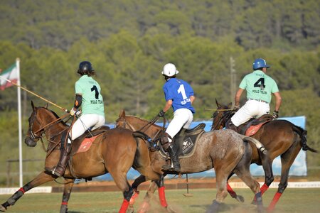 Sport polo competition