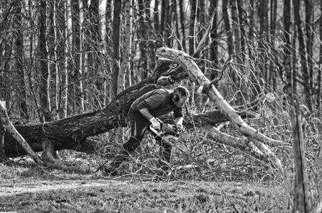 Tree feller forest worker forest care