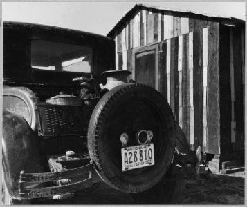 McNews subdivision. 2 and 1-2 miles S.E. of Bakersfield, Kern County, California....Water for all pu . . . - NARA - 521642
