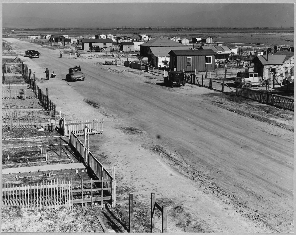 McNews, 2 1-2 miles S.E. of Bakersfield, Kern County, California. McNews subdivision. On Raw Alkali . . . - NARA - 521635