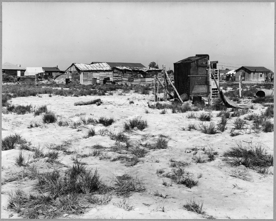 McNews, 2-1-2 miles S.E. of Bakersfield, Kern County, California. McNews subdivision. On Raw Alkali . . . - NARA - 521645