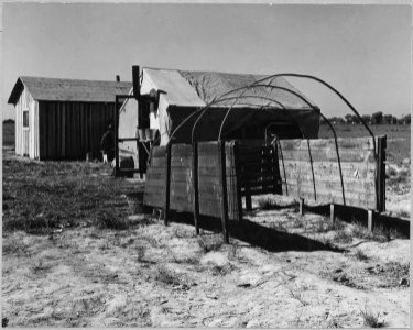McNews, near Bakersfield, Kern County, California. In McNews subdivision. The West Family, four rela . . . - NARA - 521643