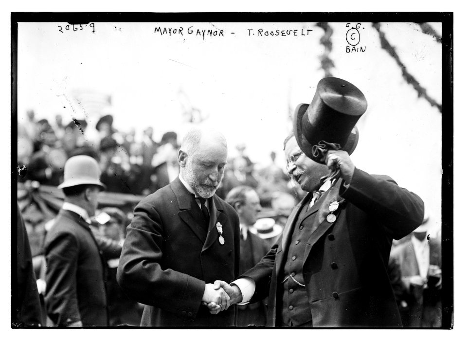 Mayor Gaynor T. Roosevelt LCCN2014688410