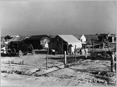 McNews subdivision. 2 and 1-2 miles S.E. of Bakersfield, Kern County, California. Tents and shacks f . . . - NARA - 521639