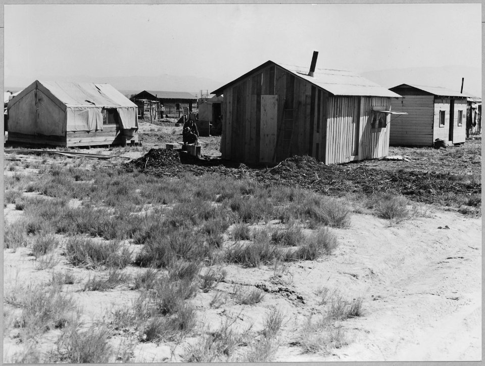 McNews, near Bakersfield, Kern County, California. Another view of McNews subdivision and the land w . . . - NARA - 521644