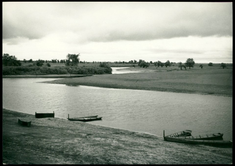 Mańkavičy, Haryń. Манькавічы, Гарынь (H. Poddębski, 1936) (5)