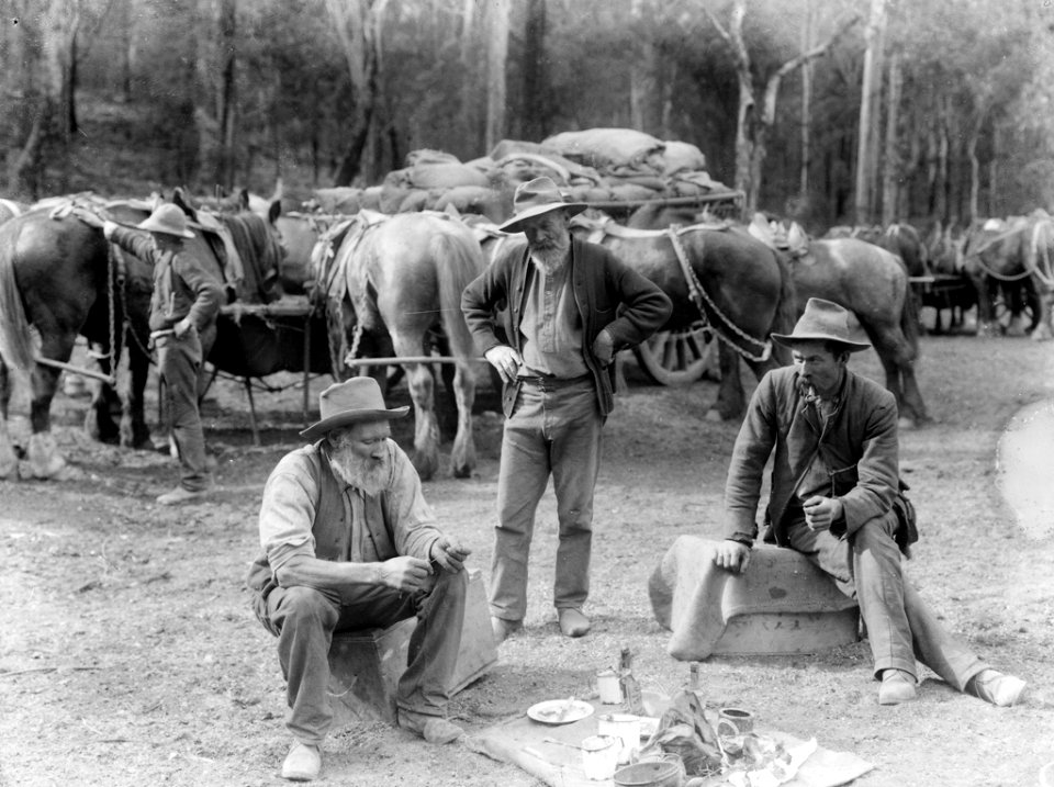 Meal break for teamsters and horses from The Powerhouse Museum Collection