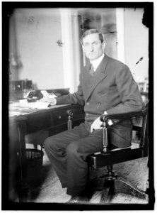 McADOO, WILLIAM GIBBS. SECRETARY OF THE TREASURY, 1913-1921 LCCN2016864403