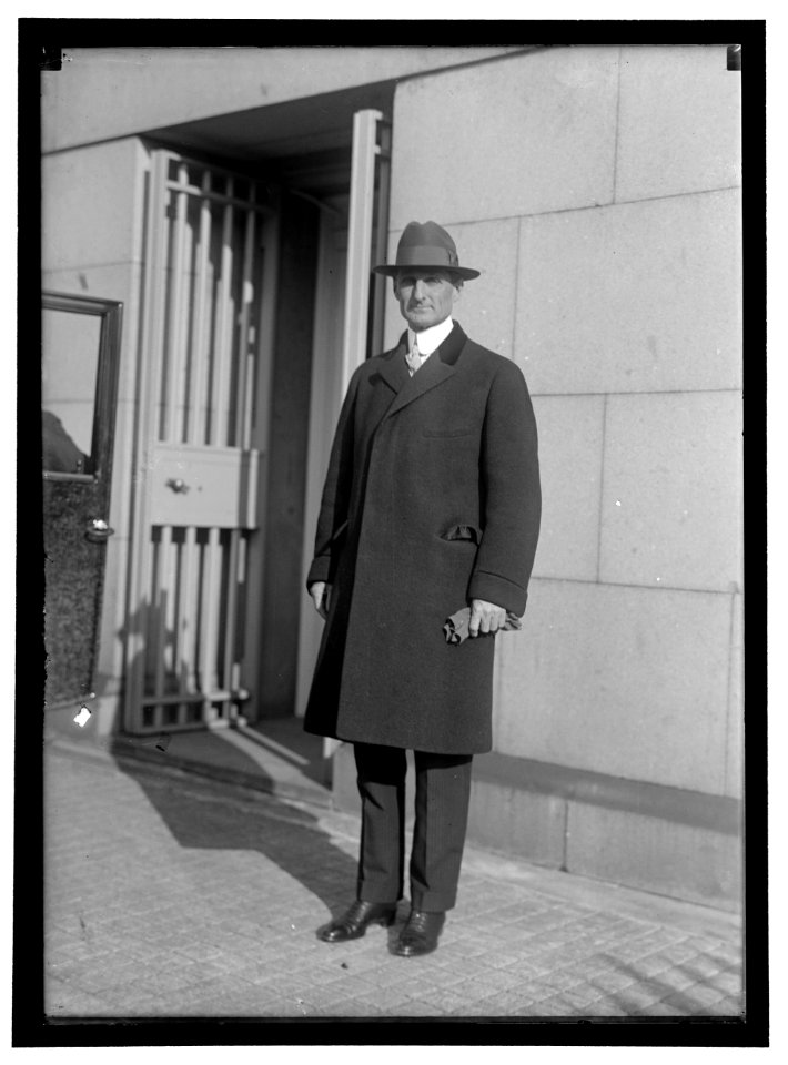 McADOO, WILLIAM GIBBS. SECRETARY OF THE TREASURY, 1913-1921 LCCN2016866982