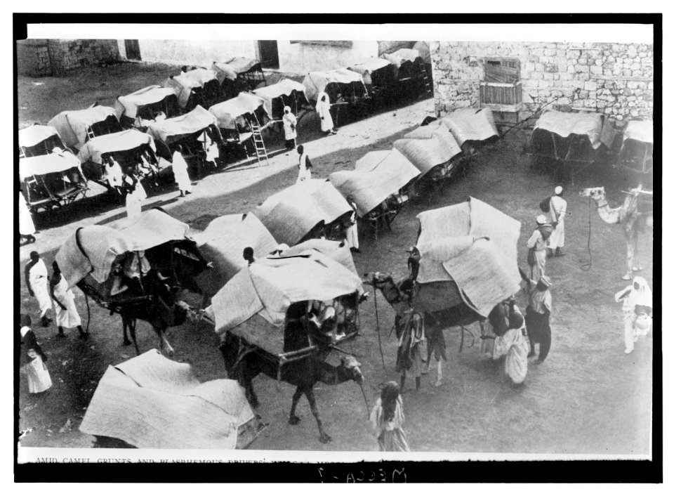 Mecca, ca. 1910. Camels and tents of pilgrims. Mecca LOC matpc.04655