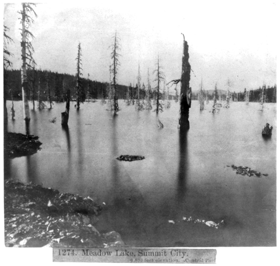 Meadow Lake, Summit City - 6,800 feet elevation - Central Pacific Railroad LCCN2002722035