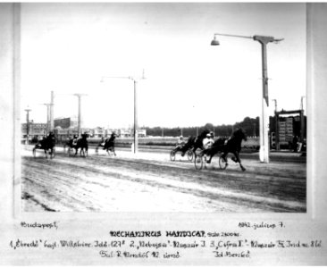 Mechanikus handicap győztese - Budapest, 1942. július 7 (5)