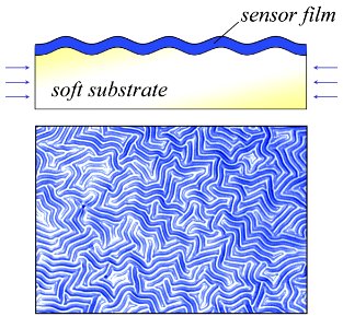 Measuring Stiffness of Soft Polymers (5940488395)