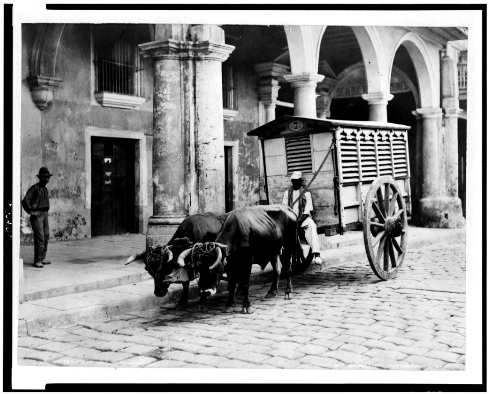 Meat wagon, Havana, Cuba LCCN93503714