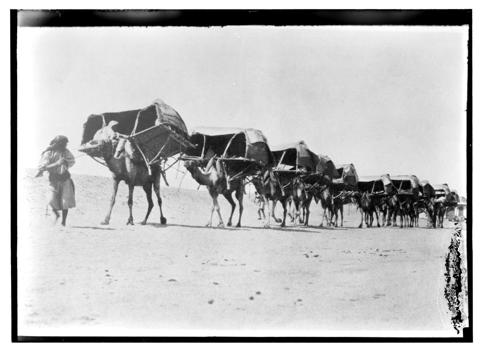 Mecca, ca. 1910. Camel caravan of pilgrims to Mecca LOC matpc.04654