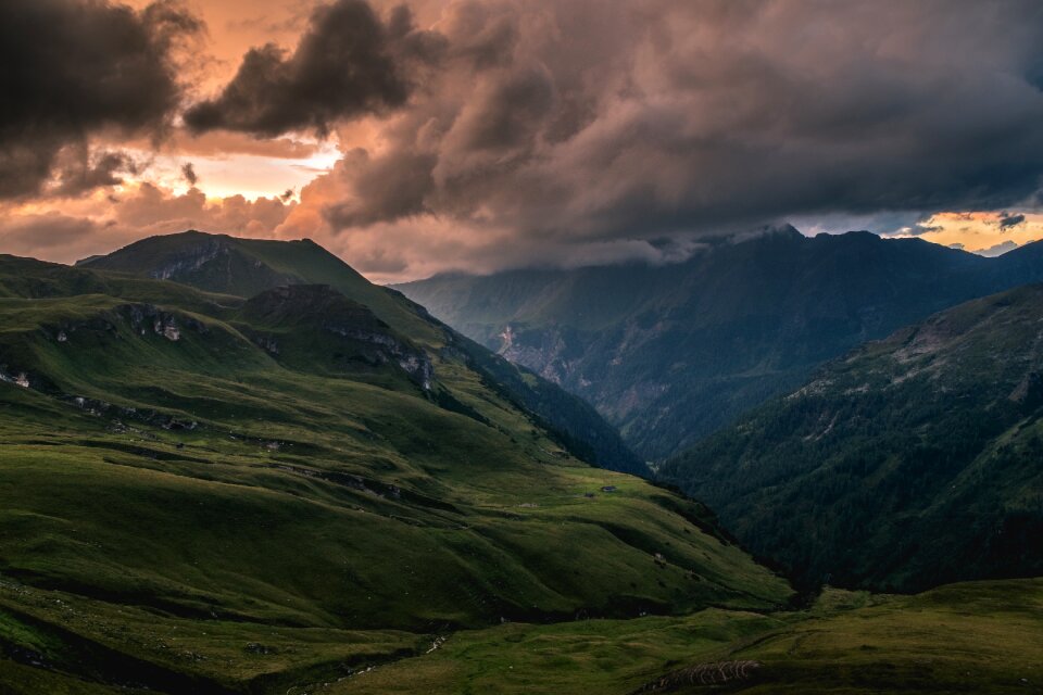 Green grass nature