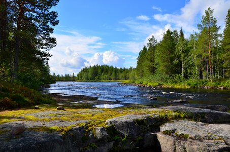 Taiga karelia north