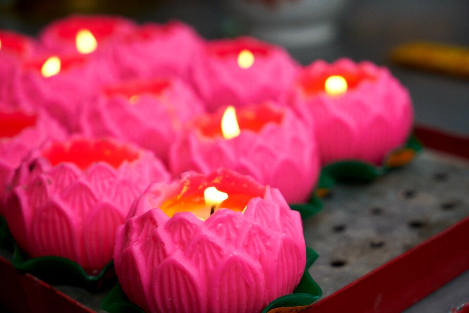 Temple culture pink